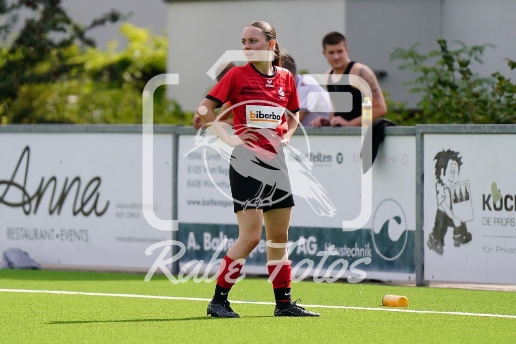 SON08816 | rabefotos