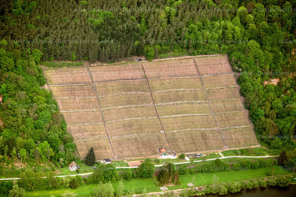 3500364 | Weinberg bei Bürgstadt