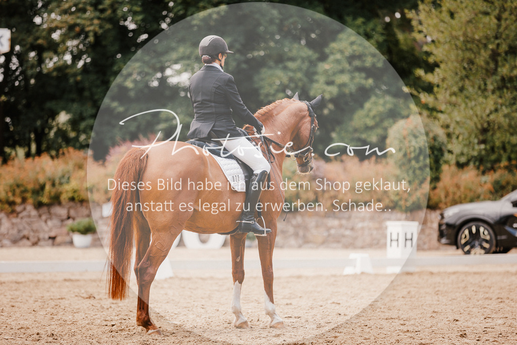 3I6A6009 | Stimmungsvolle Portraits und Reitsportfotografie im Ruhrgebiet und im Münsterland.

Pferdefotografie, Hundefotografie, Tierfotografie, Reportagen, Portraits von Tier und Mensch, Turnierfotografie in Bochum, Recklinghausen, Marl, Haltern am See, Dülmen.. - Realisiert mit Pictrs.com