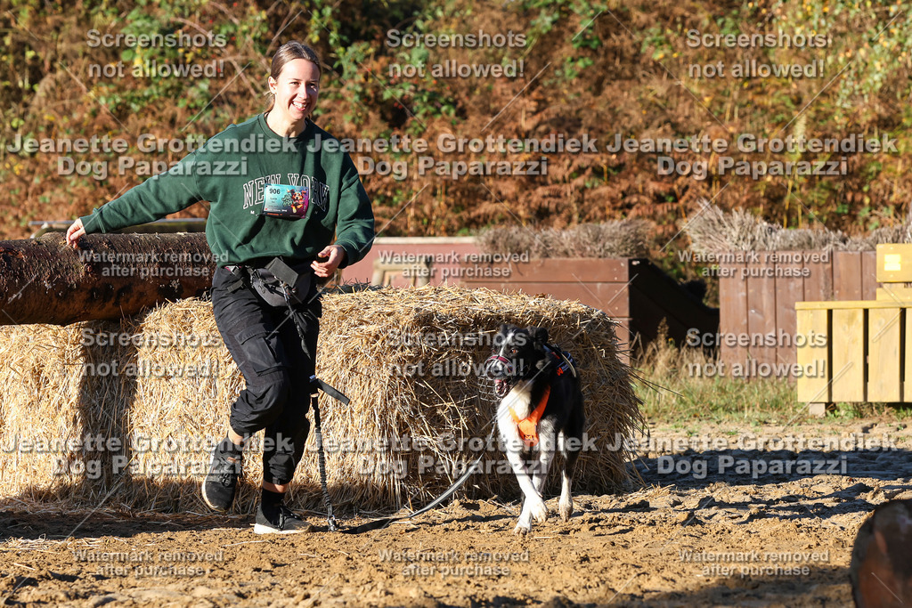 Dog Paparazzi - Strongdog 10-25-1137 | Dog Paparazzi Jeanette Grottendiek Fotografie & Videografie - Realisiert mit Pictrs.com