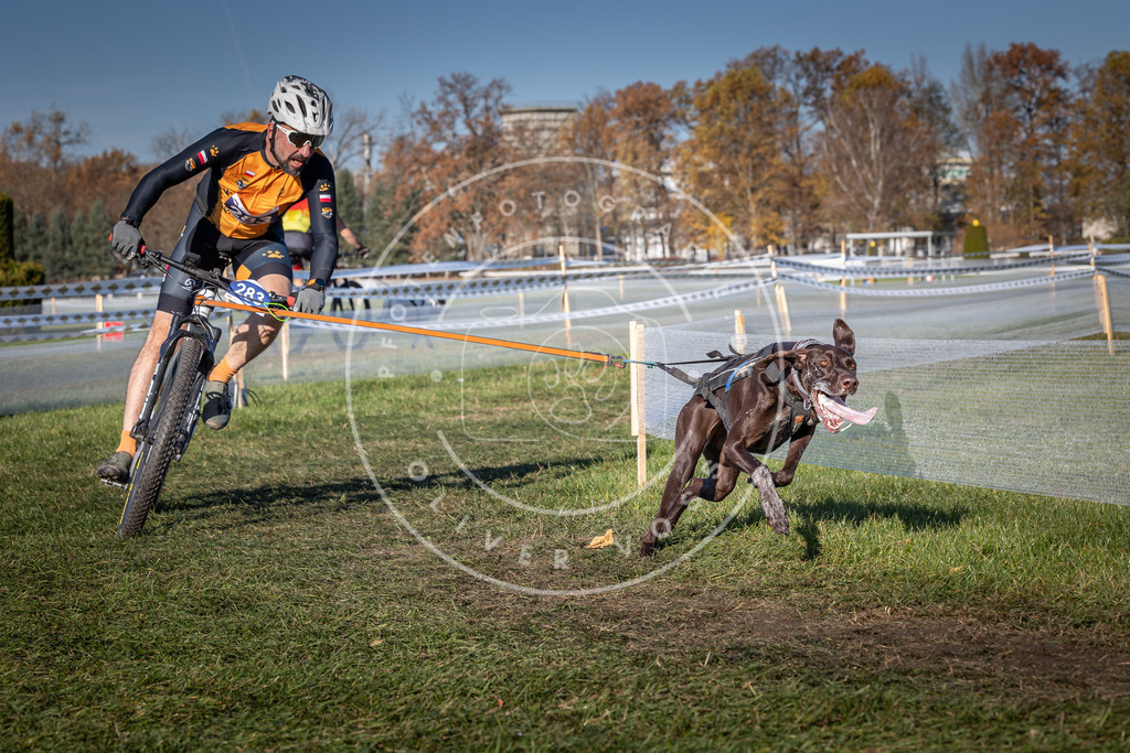 CaniXpix_0L8A5282 | Hundefotografie, Tierfotograf, Pfotenfotografie, Fotoshooting Hund, Hunde Portrait, Hundesport, Hundeportraits, Heideshooting, Hunde, Sportfotograf, Hundefotograf, Turnierhundsport, THS,  - Realisiert mit Pictrs.com