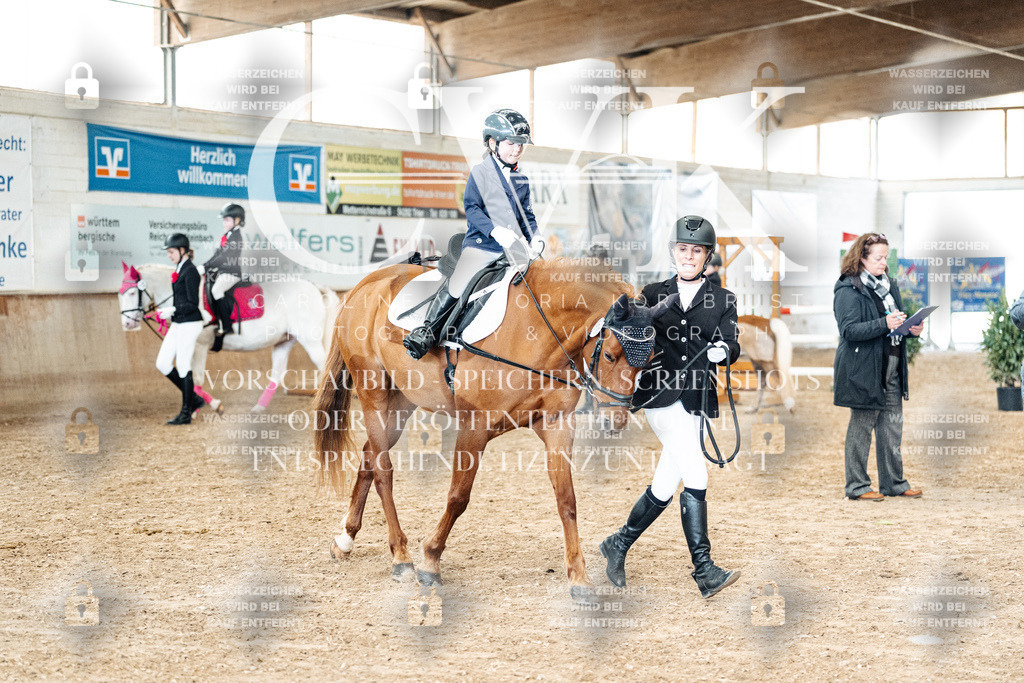 CK905866 | Turnierfotografie Pferdefotografie Trier Rheinland-Pfalz Pferdesport Reitsport Tierfotografie Sportfotografie Pferdevideo Pferdevideografie Equestrianvideography equestrianphotography  - Realisiert mit Pictrs.com