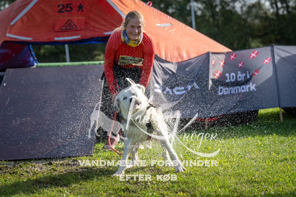 1155-92395 | kk-dogfotos