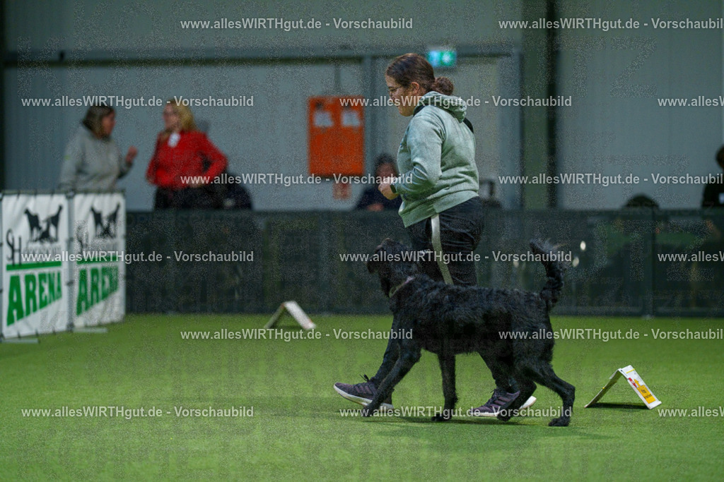 7R505813 | Professionelle Tierfotografie in Mönchengladbach von Daniel Wirth (allesWIRTHgut). Liebevolle & natürliche Bilder von Hunden & Katzen für unvergessliche Erinnerungen.