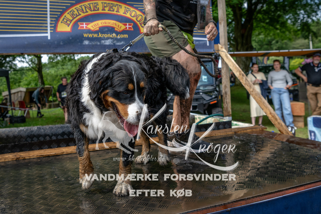1123_ZZ93961 | kk-dogfotos
