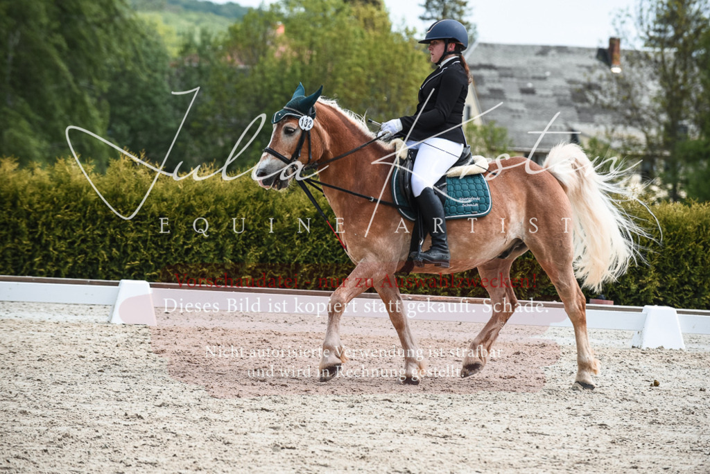 20230518_JK-Röhrsdorf-11-0557 | Pferde- und Turnierfotografie in Westsachsen. Pferdeportraits, Auftragszeichnungen und intuitive Kunst.