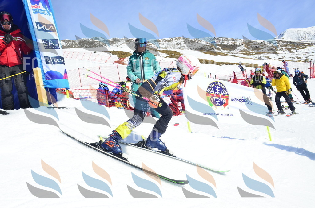 _ELE1080 | holidayphoto