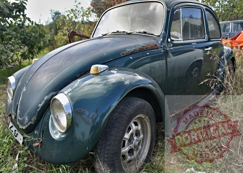 Abandoned rusty Volkswagen Beetle decaying in a field | Old rusty Volkswagen Beetle parked in tall grass, showing signs of decay and neglect - Realized with Pictrs.com