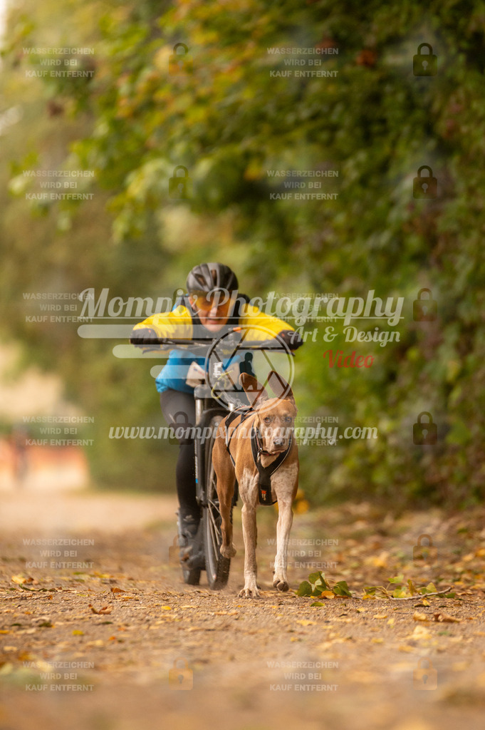 CDLBDB_14_10_2023_Samedi-157 | PayLife