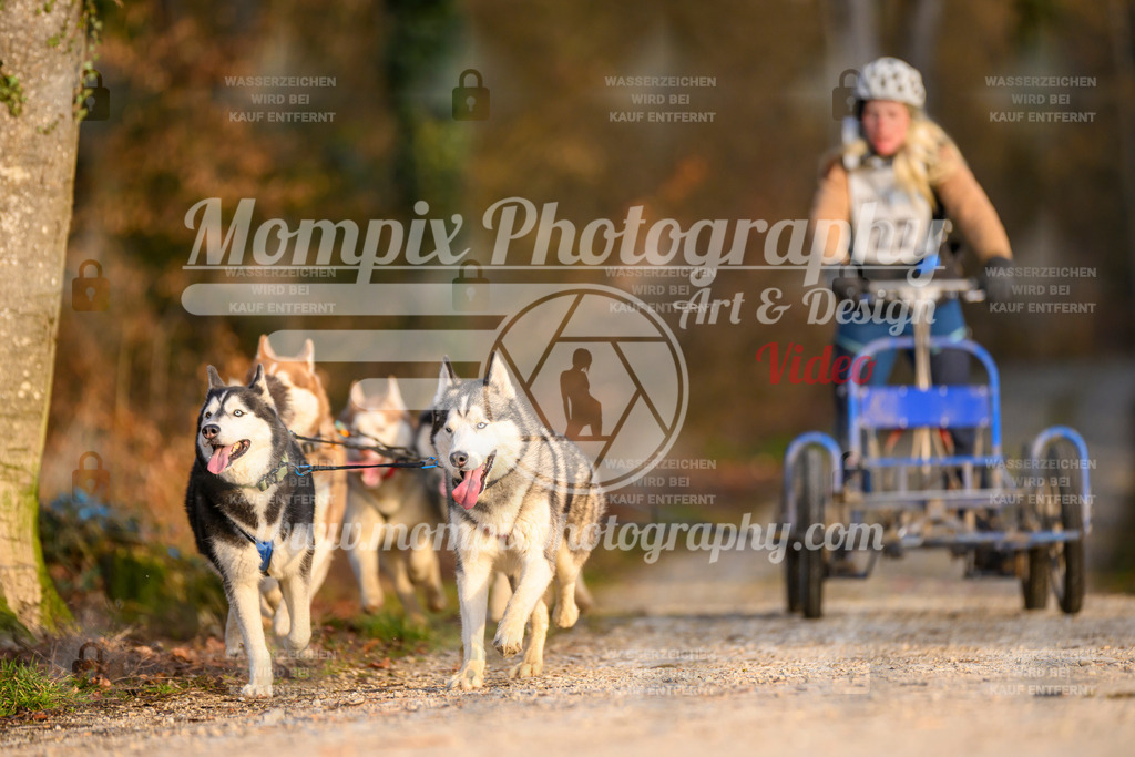 MompixPhotography_6ReiatRennen2026_SO_Kart-16 | PayLife