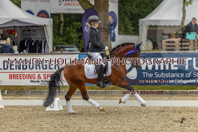 Finale LT 26 (2317 von 2370) | mandyhollmannphotographie