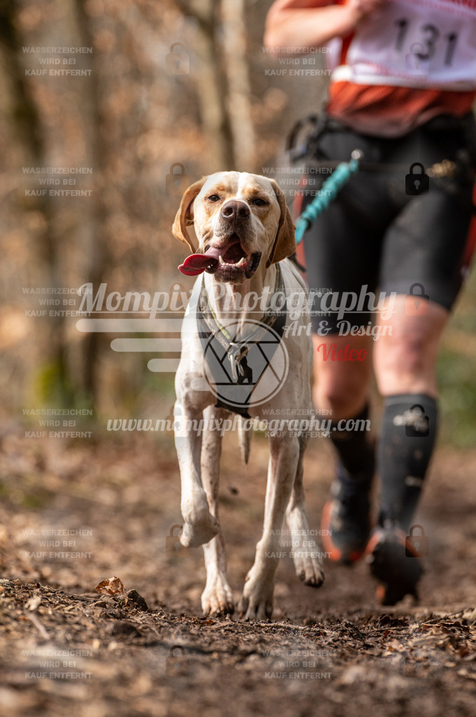 SPA_2023_DIM_Fun-38 | PayLife