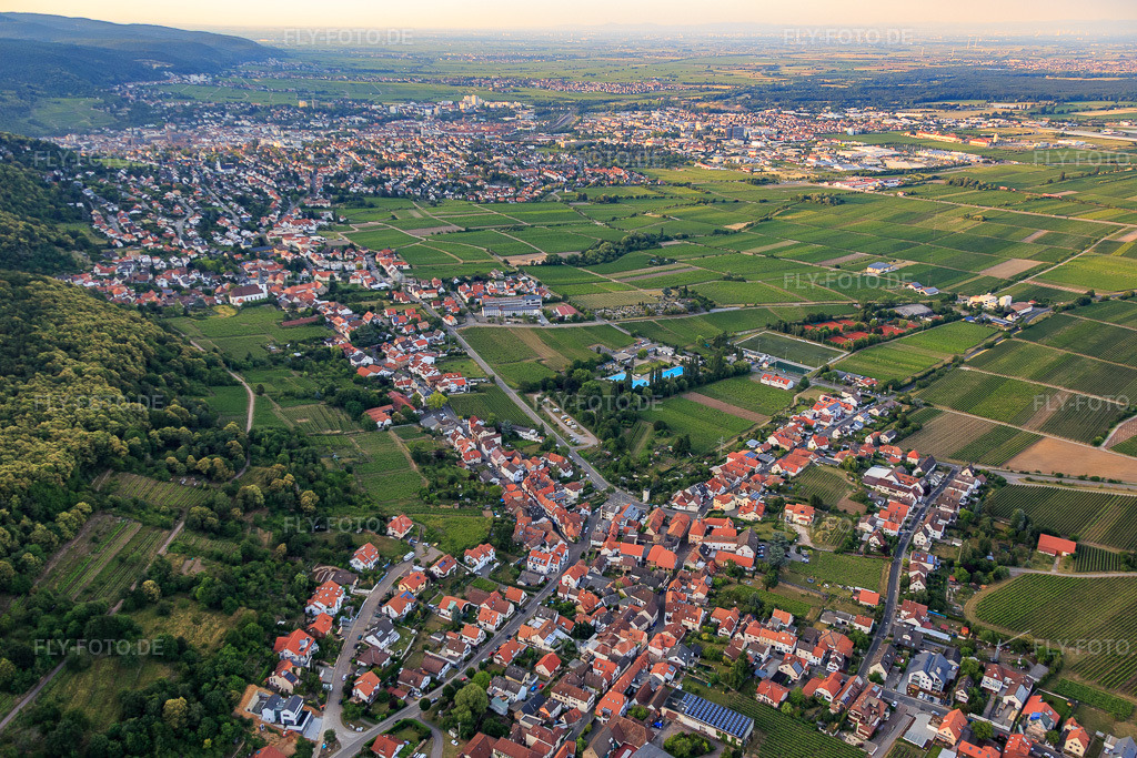 Luftbild: Winzerdorf am Haardtrand aus Südwesten im Ortsteil Hambach an der Weinstraße in Neustadt im Bundesland Rheinland-Pfalz in Deutschland. Foto: IMG_082758.jpg vom 25.06.2015 durch Werner Riehm/FLY-FOTO.de