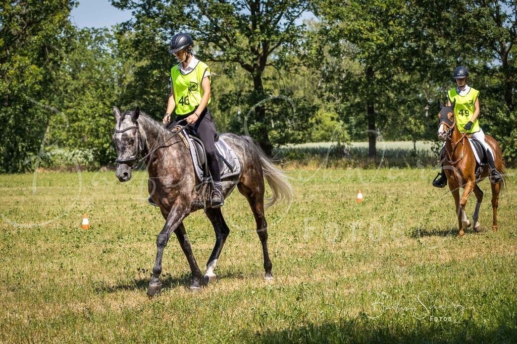 CJP_2026-06-26_57 | Stimmungsvolle Fotografie von Pferden, fotografische Begleitung von Veranstaltungen, Golfturnieren und Distanzritten - Realisiert mit Pictrs.com