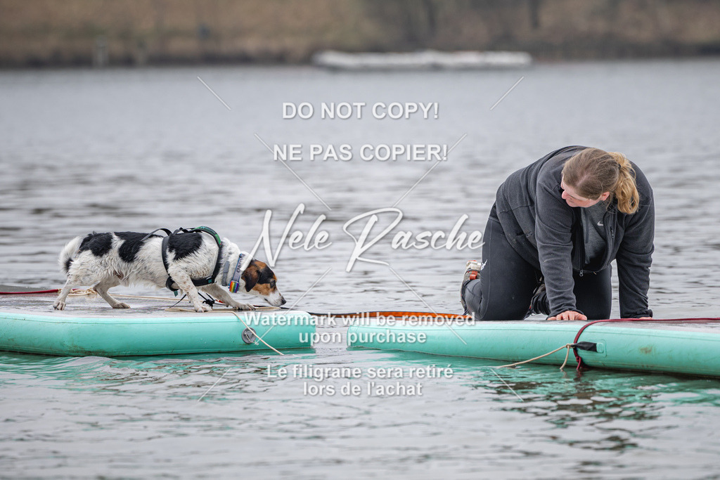 nelerasche_Hulsbeek_Sa1330-1430_534 | nelerasche