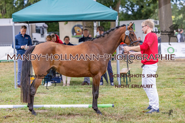 DR (1103 von 2698) | mandyhollmannphotographie