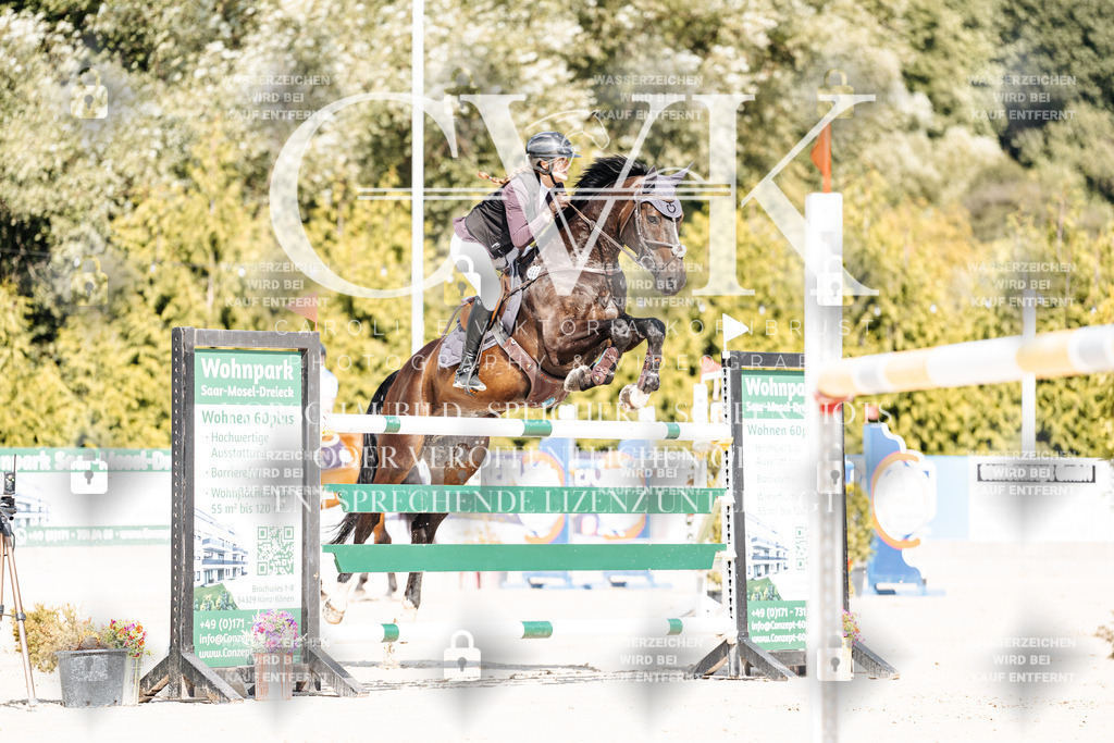 CK908889 | Turnierfotografie Pferdefotografie Trier Rheinland-Pfalz Pferdesport Reitsport Tierfotografie Sportfotografie Pferdevideo Pferdevideografie Equestrianvideography equestrianphotography  - Realisiert mit Pictrs.com