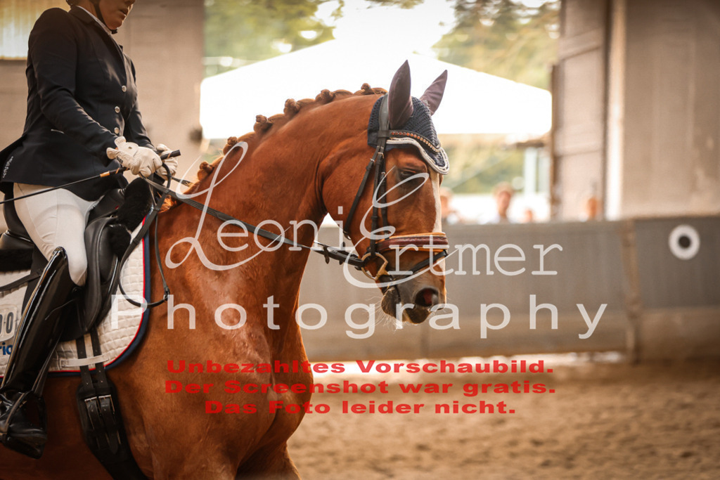 6.SoDrPfA00068 | Leoni Ertmer Photography - Realisiert mit Pictrs.com