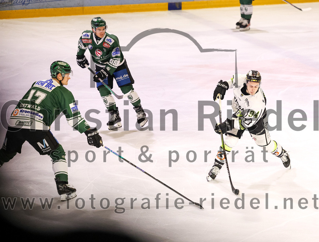 2024-02-02_048_TSV_Erding_gegen_ERSC_Amberg | Erding, Deutschland, 02.02.2024:
Eishockey, Bayernliga Vorrunde 2023 / 2024, 30. Spieltag, TSV Erding gegen ERSC Amberg, Endergebnis: 1:0

Elia Ostwald (Erding Gladiators, #17), Brendan Walkom (ERSC Amberg, #94)

Foto: Christian Riedel / fotografie-riedel.net