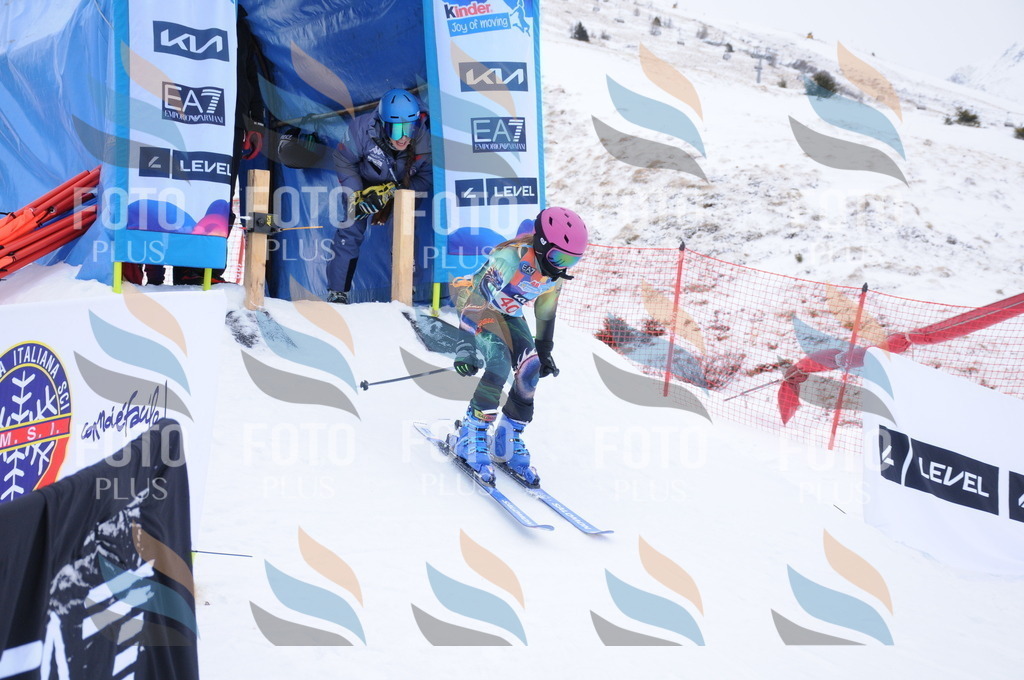 DSC_7856 | holidayphoto