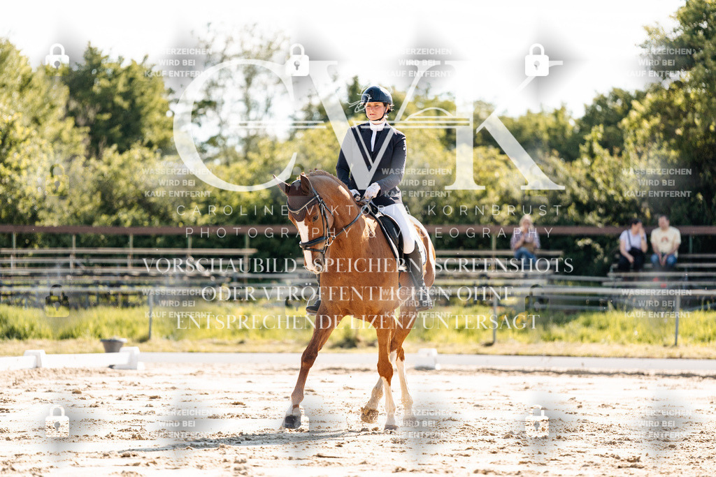 CK909311 | Turnierfotografie Pferdefotografie Trier Rheinland-Pfalz Pferdesport Reitsport Tierfotografie Sportfotografie Pferdevideo Pferdevideografie Equestrianvideography equestrianphotography  - Realisiert mit Pictrs.com