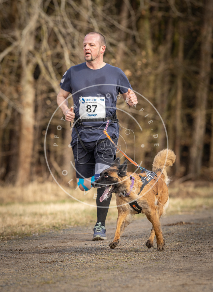 DV3A3959 | Hundefotografie, Tierfotograf, Pfotenfotografie, Fotoshooting Hund, Hunde Portrait, Hundesport, Hundeportraits, Heideshooting, Hunde, Sportfotograf, Hundefotograf, Turnierhundsport, THS,  - Realisiert mit Pictrs.com
