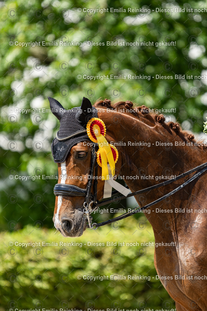 CL5A9289 | Emilia Reinking Fotografie - Realisiert mit Pictrs.com