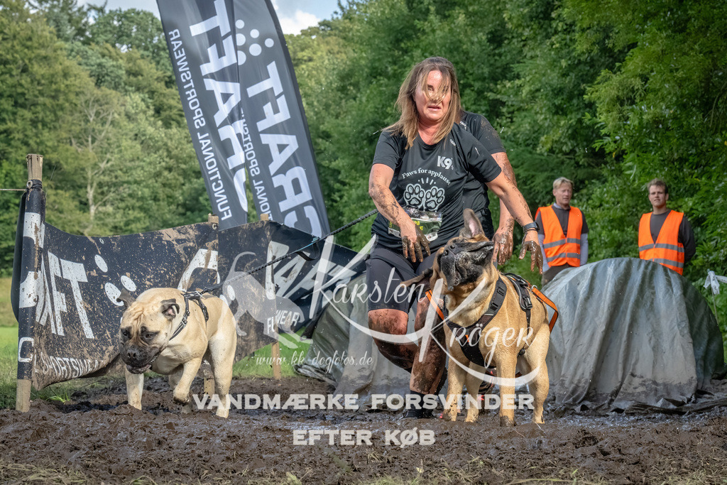 1713_ZZ91478-Bearbeitet | kk-dogfotos