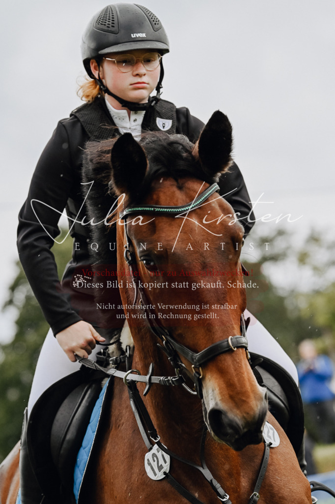 DSC_6865 | Pferde- und Turnierfotografie in Westsachsen. Pferdeportraits, Auftragszeichnungen und intuitive Kunst.
