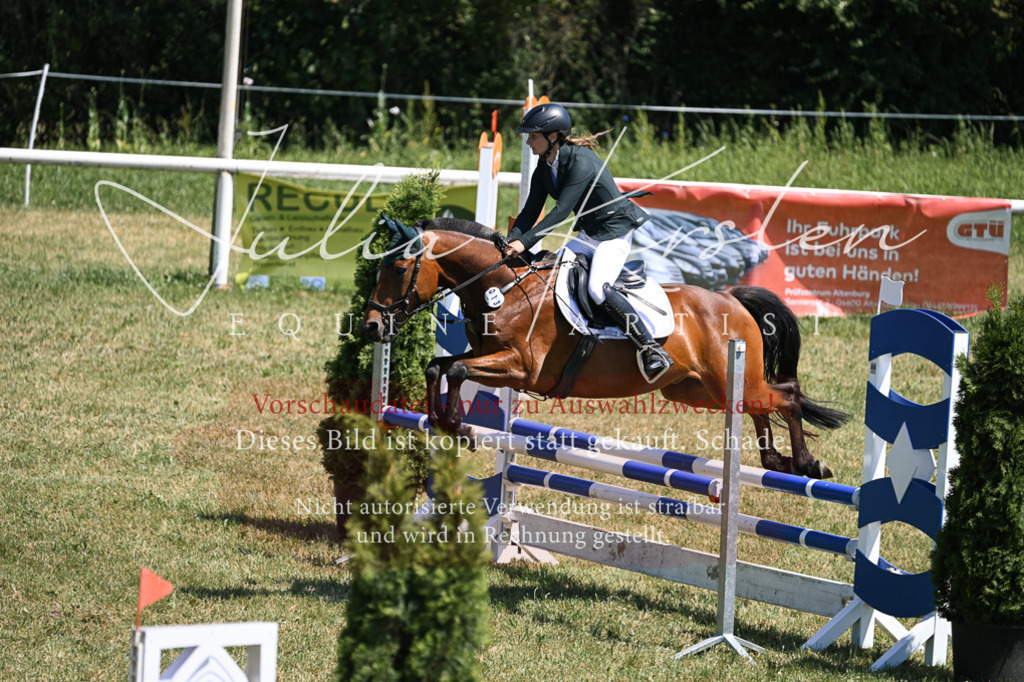DSC_0014 | Pferde- und Turnierfotografie in Westsachsen. Pferdeportraits, Auftragszeichnungen und intuitive Kunst.