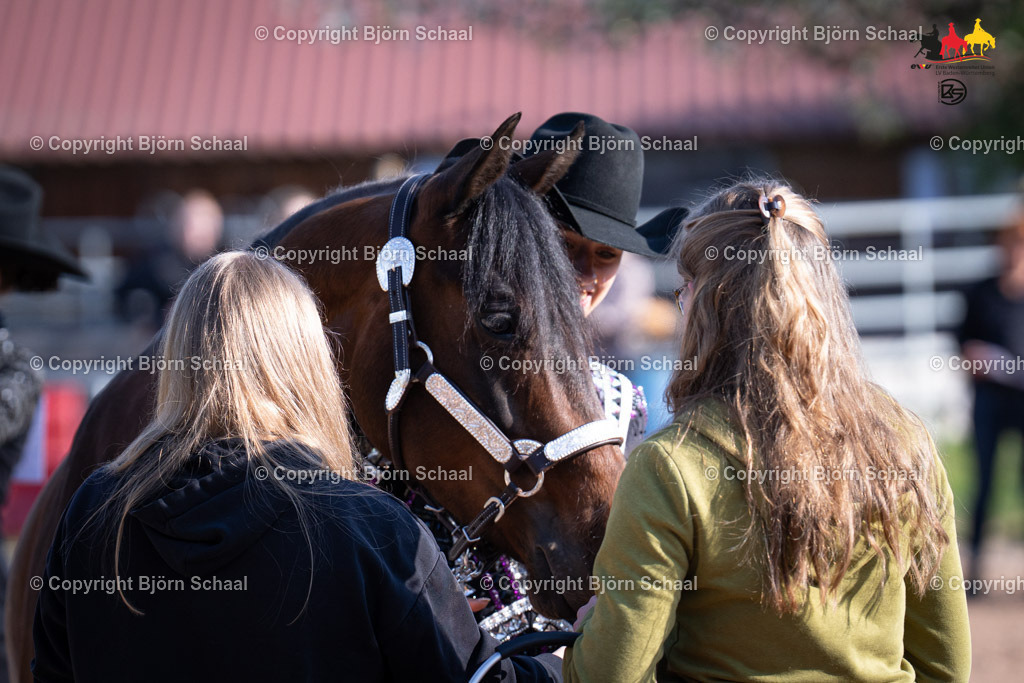 LMB07131 | BS-foto