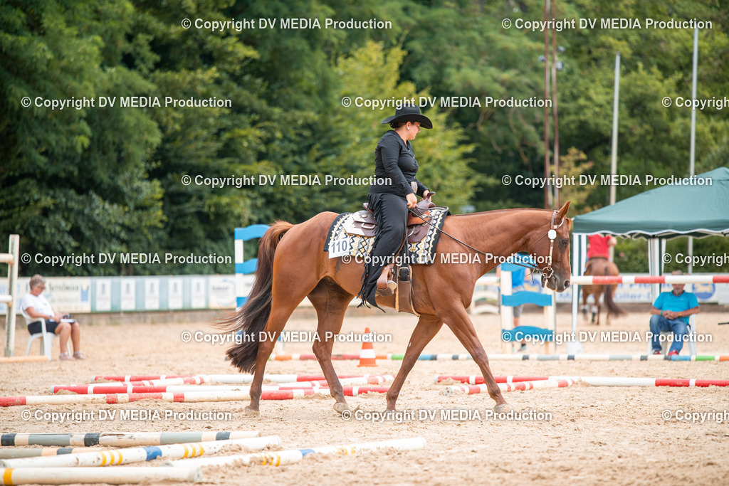 ZS2_7960 | dv-media-shop - Realisiert mit Pictrs.com