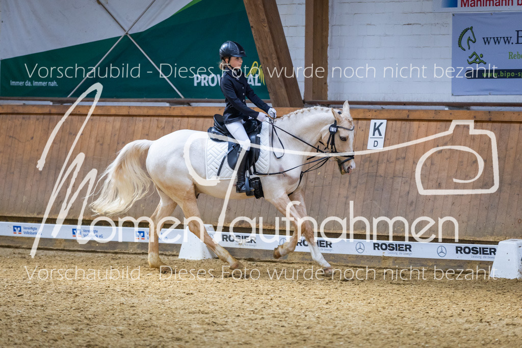 _M2A1879 | MomenTaufnahmen Pferdesportfotos