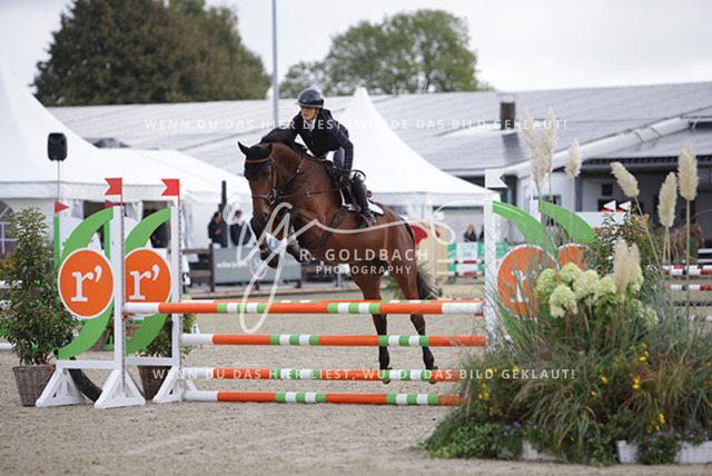 1J2A9139Antonia Selina Brinkop_ DIA Pleasure 2_ Kn379_ Havekost | Foto- und Videografie für alles rund ums Pferd. Hochwertige Bilder und Videos vom Spring- und Dressurreiten, Voltigieren & mehr. Jetzt aktuelle Veranstaltungen und Preise im Shop ansehen. - Realisiert mit Pictrs.com