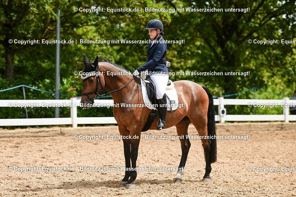 20230716_03_Dressurprfg. Kl.L - Tr._0655 | equistock