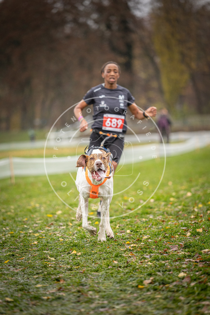 CaniXpix_DV3A8957 | Hundefotografie, Tierfotograf, Pfotenfotografie, Fotoshooting Hund, Hunde Portrait, Hundesport, Hundeportraits, Heideshooting, Hunde, Sportfotograf, Hundefotograf, Turnierhundsport, THS,  - Realisiert mit Pictrs.com
