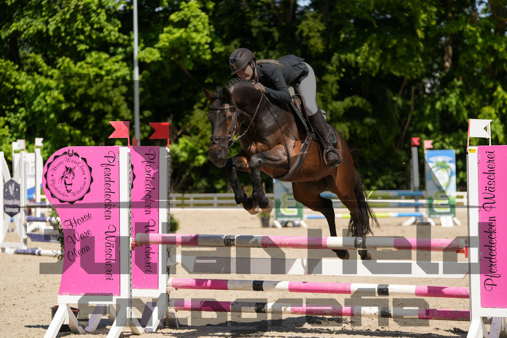 DSC02298 | Julian Held Fotografie - Realisiert mit Pictrs.com