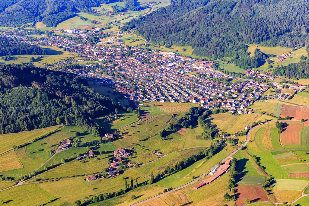 Luftbild: Ortsansicht im Schuttertal aus Norden in Seelbach im Bundesland Baden-Württemberg in Deutschland. Foto: IMG_147709.jpg vom 30.05.2025 durch Werner Riehm/FLY-FOTO.de