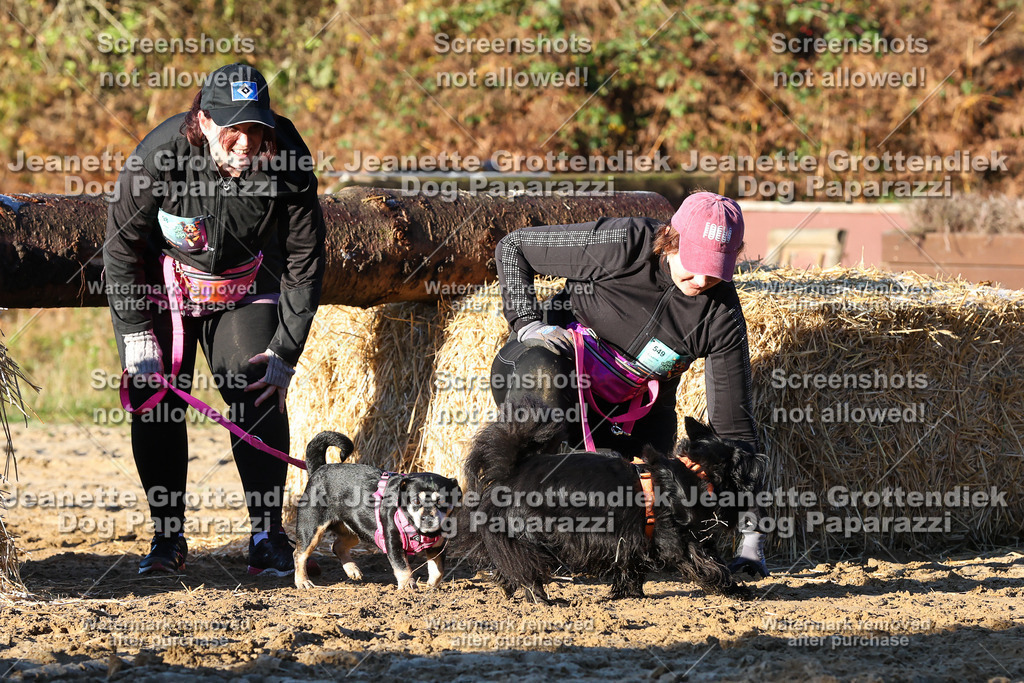 Dog Paparazzi - Strongdog 10-25-1004 | Dog Paparazzi Jeanette Grottendiek Fotografie & Videografie - Realisiert mit Pictrs.com