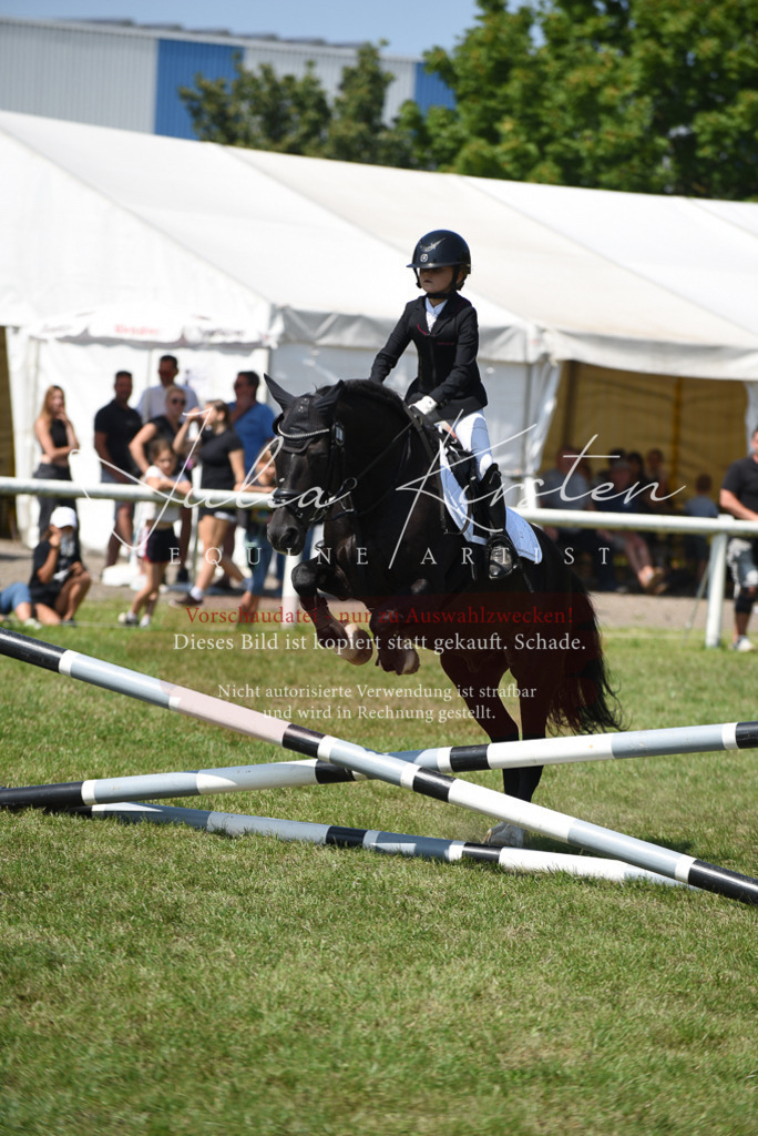 DSC_9978 | Pferde- und Turnierfotografie in Westsachsen. Pferdeportraits, Auftragszeichnungen und intuitive Kunst.