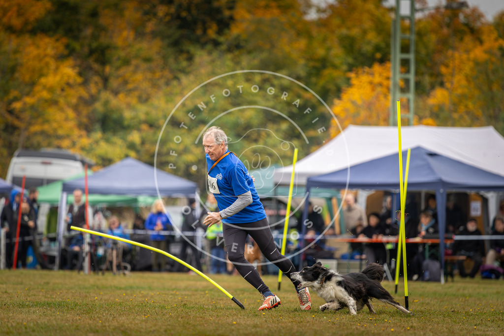 Pfotenfotografie_DV3A2141 | Hundefotografie, Tierfotograf, Pfotenfotografie, Fotoshooting Hund, Hunde Portrait, Hundesport, Hundeportraits, Heideshooting, Hunde, Sportfotograf, Hundefotograf, Turnierhundsport, THS,  - Realisiert mit Pictrs.com