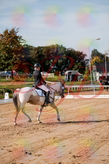 2026_10_03_Siefer-Hof_114807_Z63_27875043 | Professionelle Reitsport-, Turnier- und Eventfotografie von Robert Broda. Galerien mit ausgewählten und bearbeiteten Bildern direkt online ansehen und bestellen.