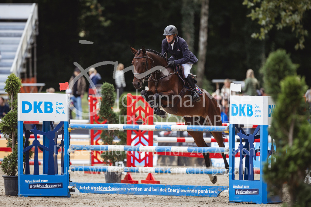 240915_OWLCh_Youngster6y-529 | Deine schönsten Turniermomente als professionelle Fotos! Entdecke hochwertige Pferdesport-Fotografie im Online-Shop. Jetzt Fotos finden & bestellen!