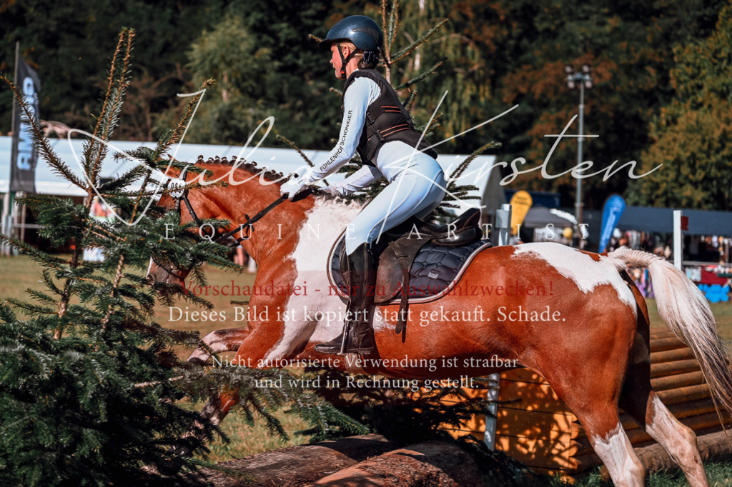DSC_1046 | Pferde- und Turnierfotografie in Westsachsen. Pferdeportraits, Auftragszeichnungen und intuitive Kunst.