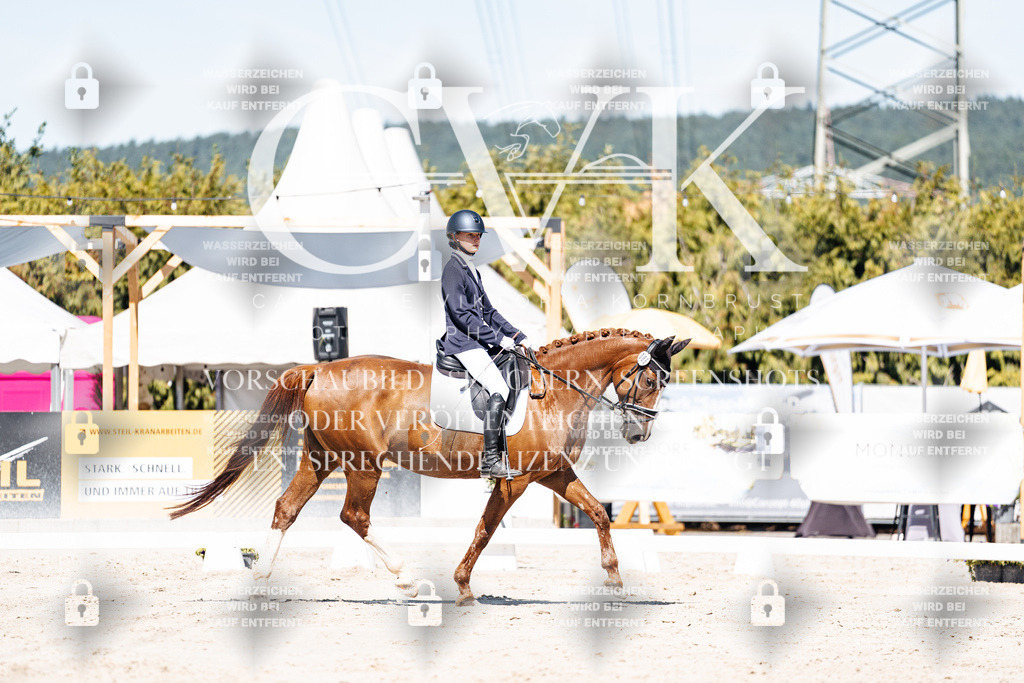 CK909370 | Turnierfotografie Pferdefotografie Trier Rheinland-Pfalz Pferdesport Reitsport Tierfotografie Sportfotografie Pferdevideo Pferdevideografie Equestrianvideography equestrianphotography  - Realisiert mit Pictrs.com