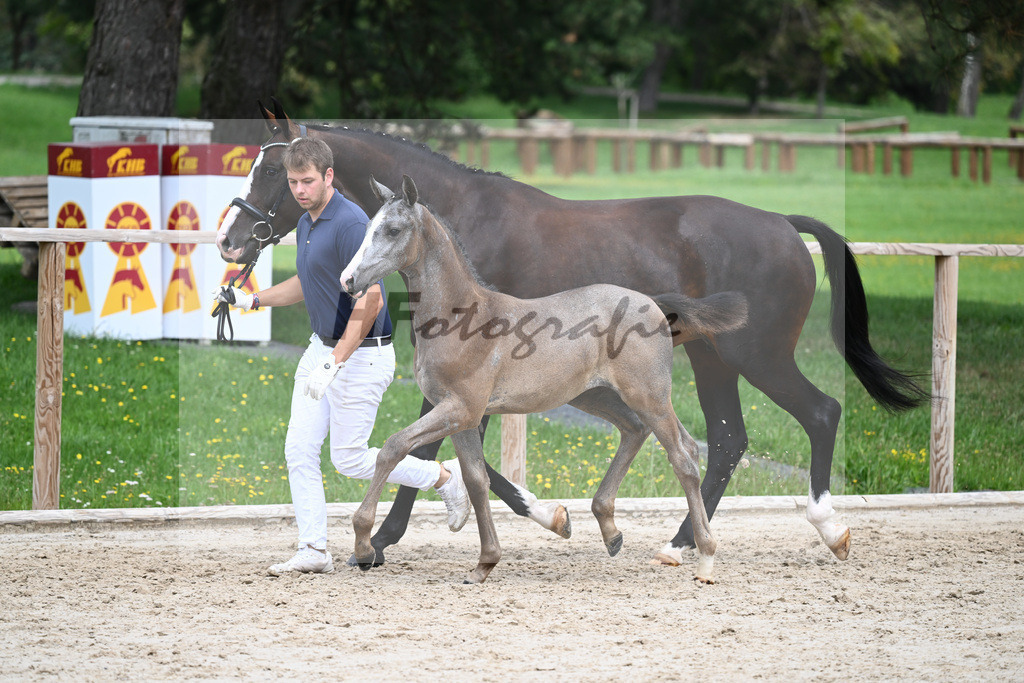 Kat-Nr. 27 SF Arezzo Man_Schwarz GbR_25230715 | hf-fotografie - Realisiert mit Pictrs.com