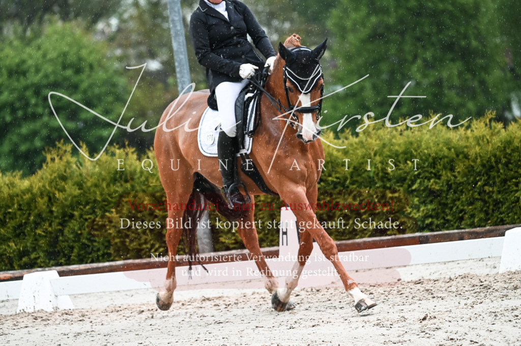 DSC_4450 | Pferde- und Turnierfotografie in Westsachsen. Pferdeportraits, Auftragszeichnungen und intuitive Kunst.