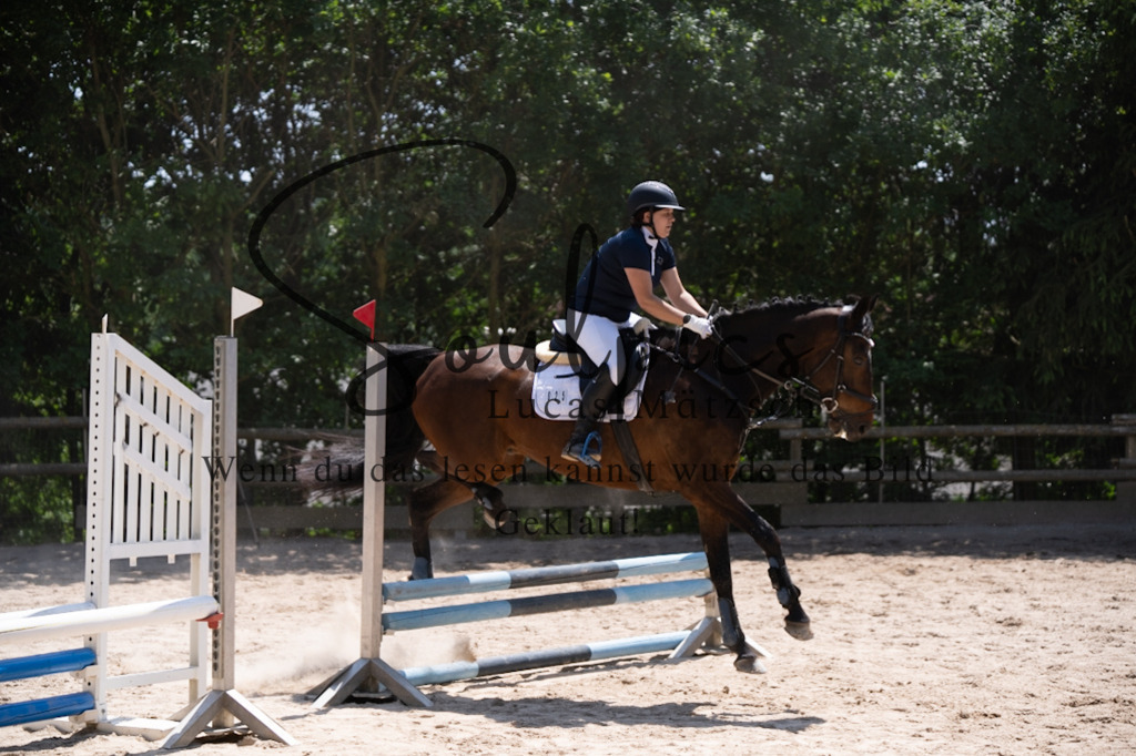 A7V08350 | Pferdefotograf