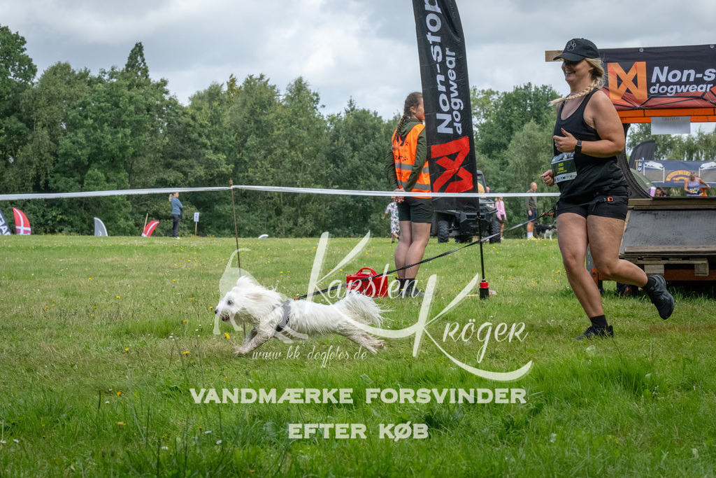 1135_ZZ92676 | kk-dogfotos