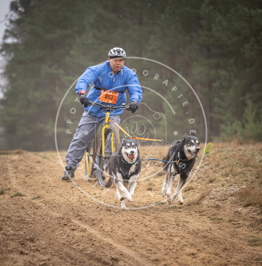Pfotenfotografie_DV3A1266 | Hundefotografie, Tierfotograf, Pfotenfotografie, Fotoshooting Hund, Hunde Portrait, Hundesport, Hundeportraits, Heideshooting, Hunde, Sportfotograf, Hundefotograf, Turnierhundsport, THS,  - Realisiert mit Pictrs.com